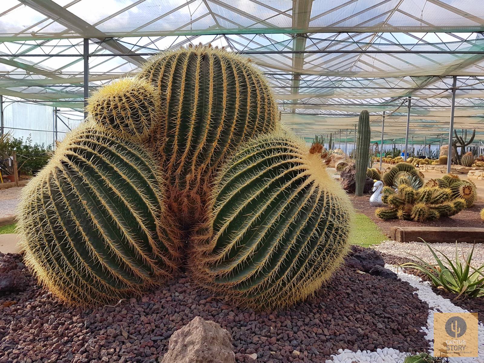 Jardin d'agrément Aubagne Marseille Cassis